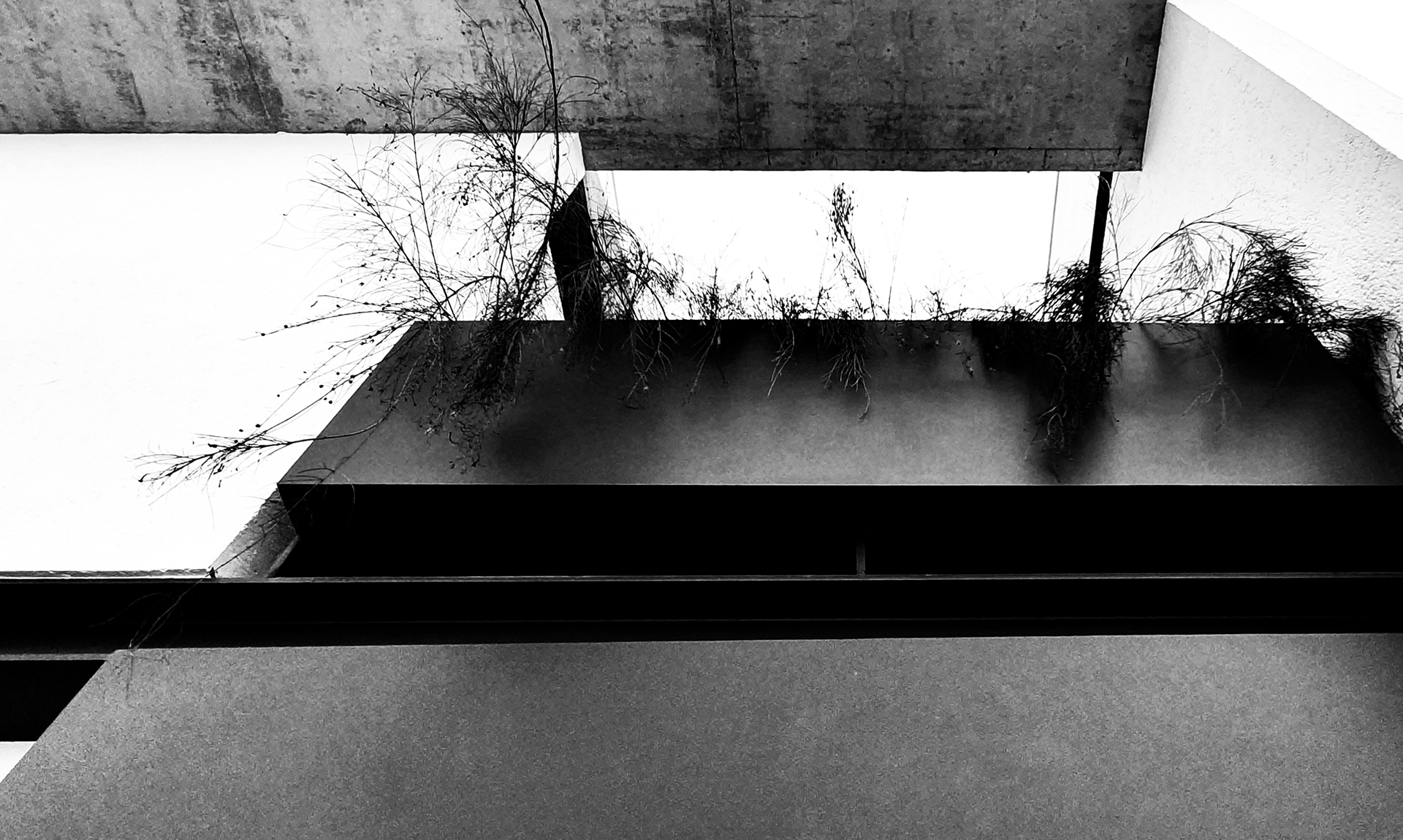 Peninsula Arquitetura Banner 2