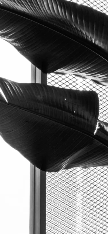 Peninsula Arquitetura Banner 7 Mobile